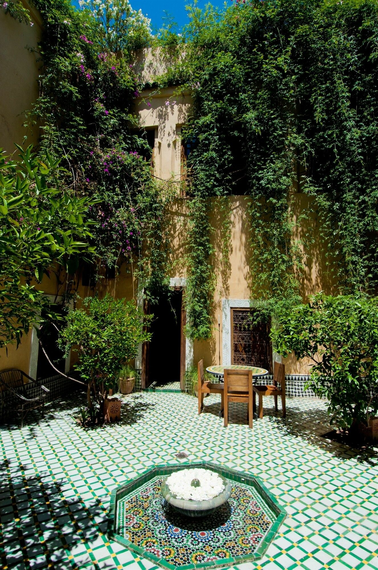 Фото Riad Khol