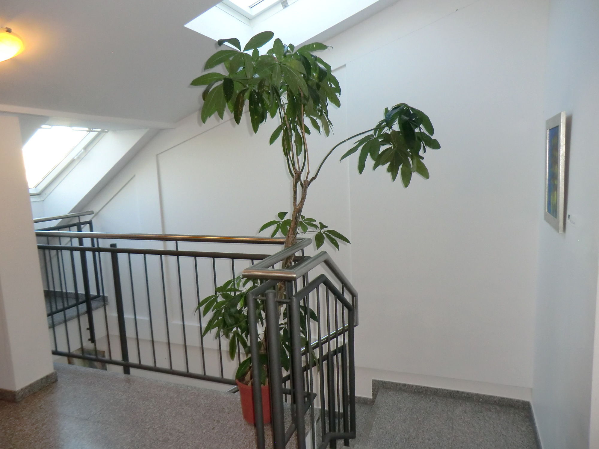 Фото Hotel Andra Munich