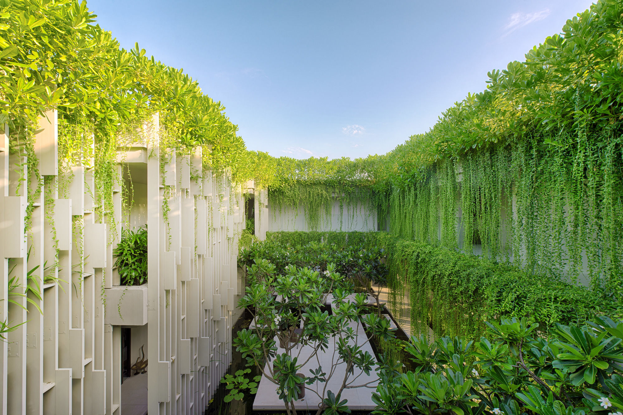 Фото Naman Retreat