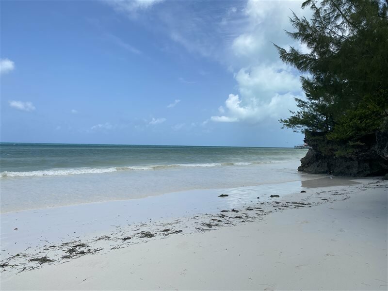 Фото Mbuyuni Beach Village