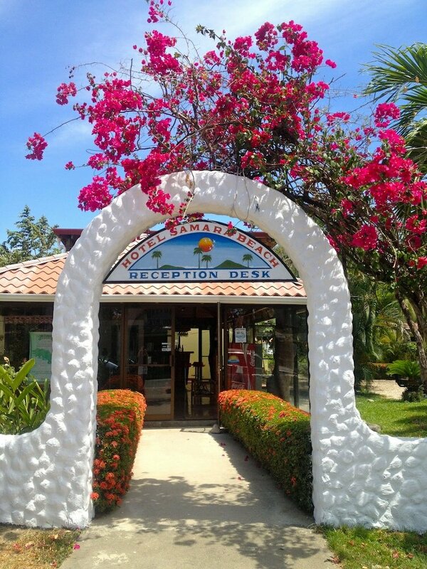 Гостиница Hotel Samara Beach