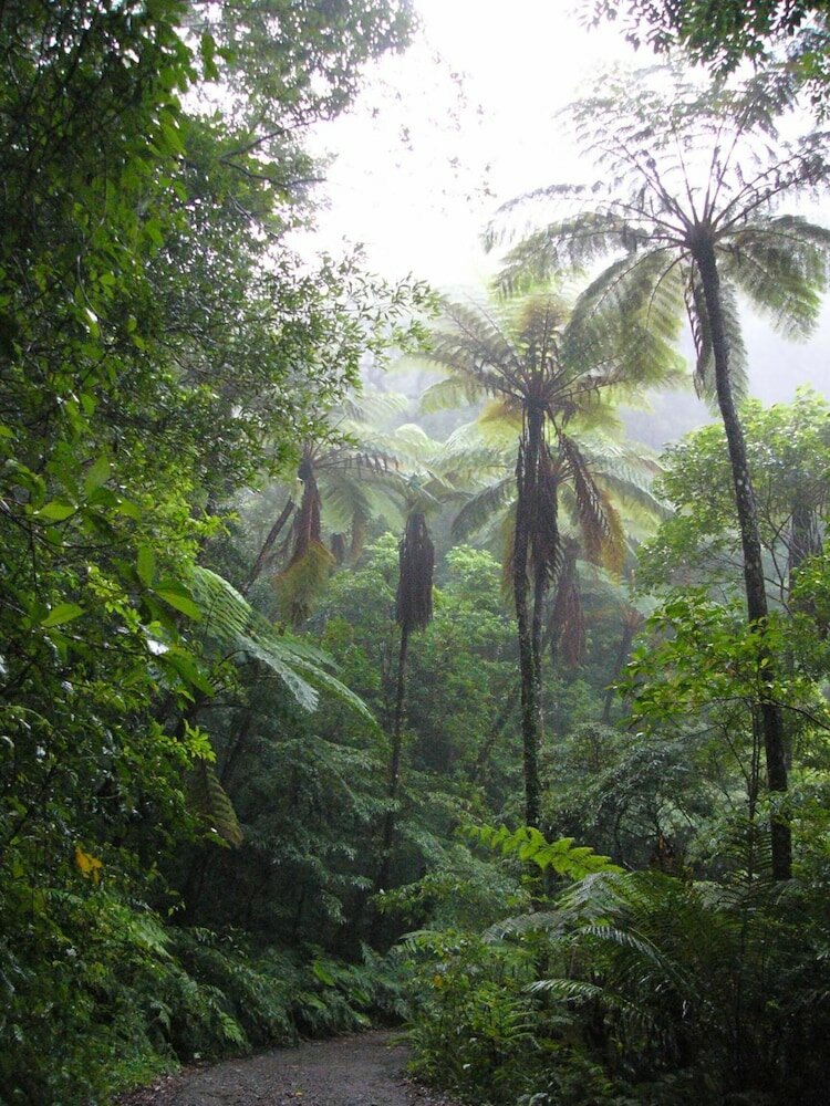 Фото Amami Sunplaza Hotel