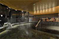 Фото Kyoto Hot Spring Hatoya Zuihokaku Hotel