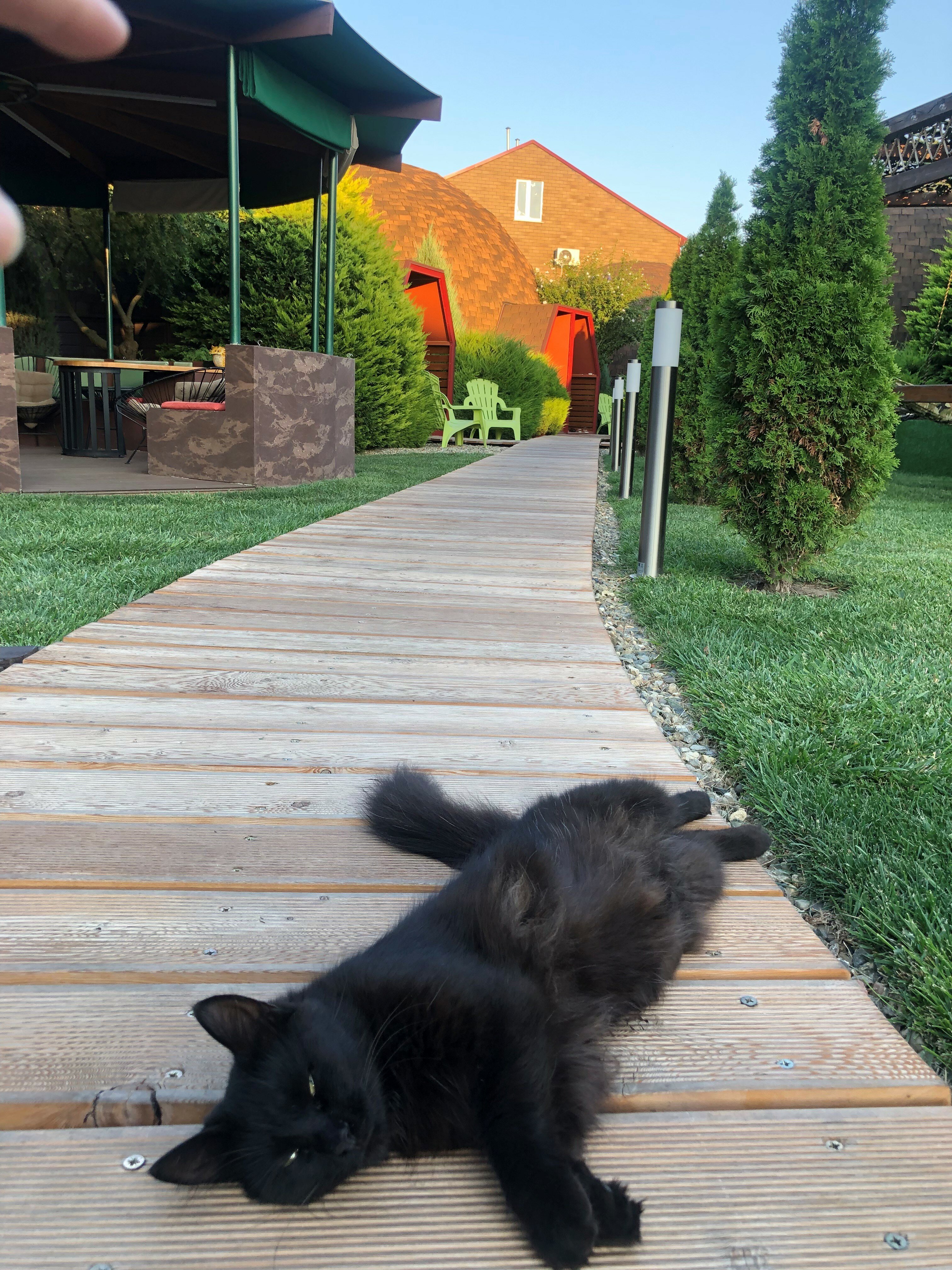 Фото АтмосфЭра