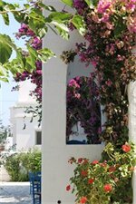 Фото Pelagos Studios