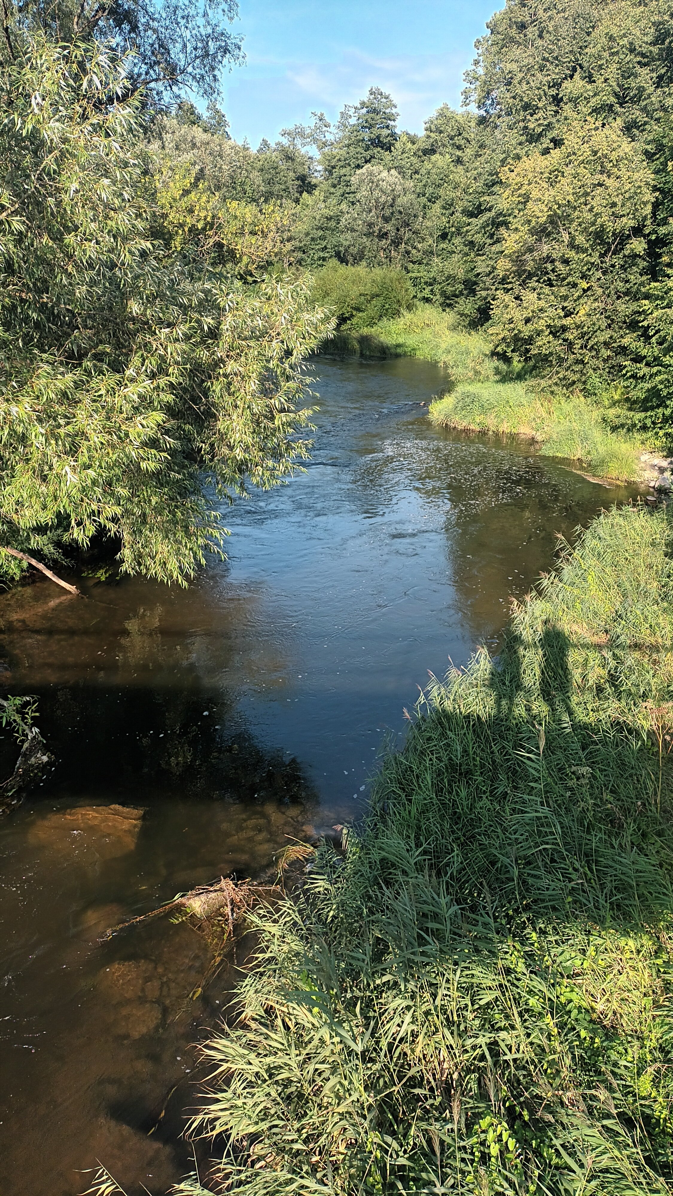 Фото Усадьба Королевич