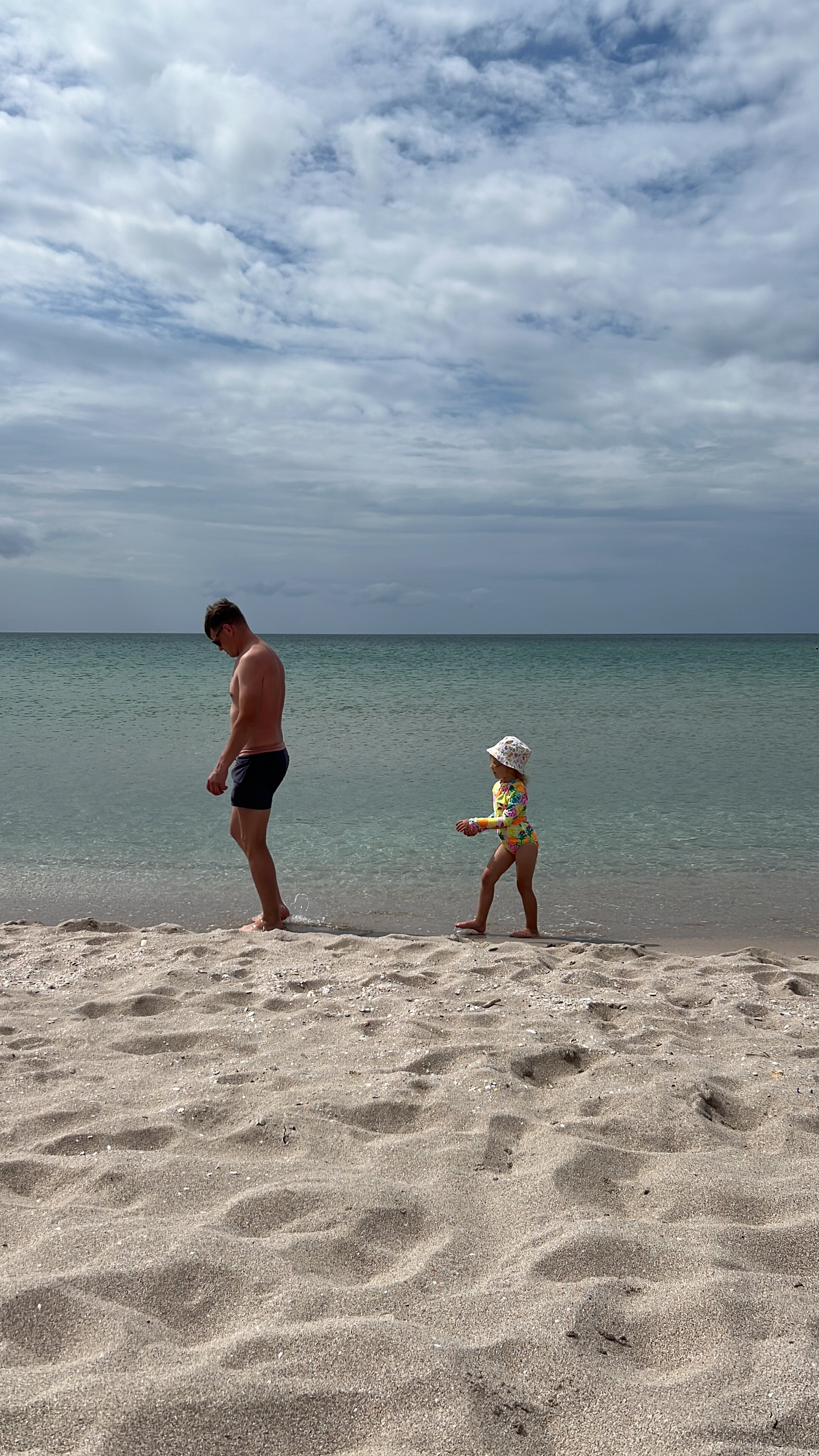 Фото Лаванда