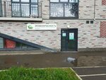 Экобезопасность (Lva Tolstogo Street, 17) ، التنظيم البيئي