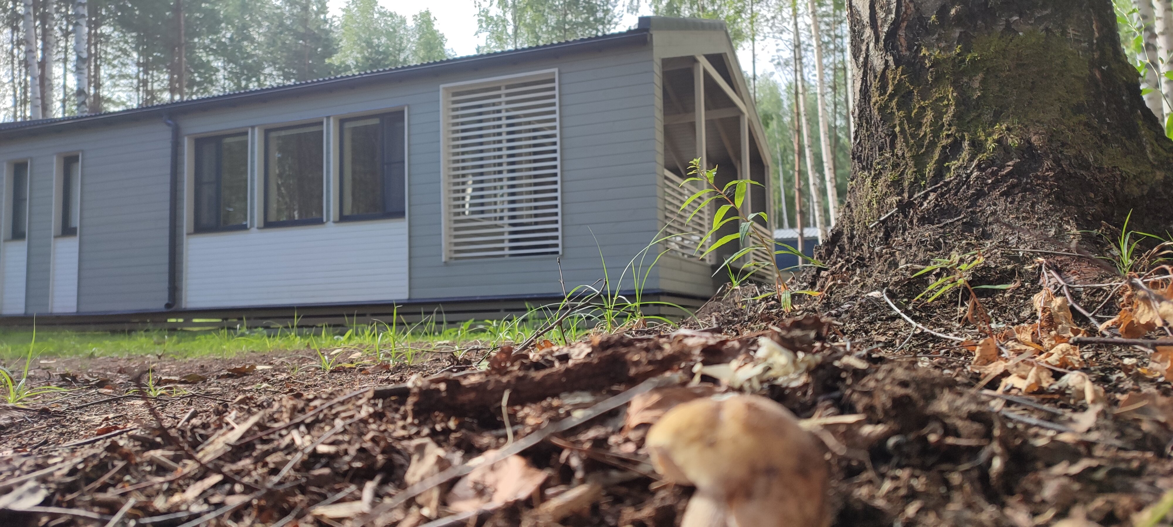 Фото Эко-усадьба Горностай