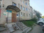 Шервуд (Tamary Ilyinoy Street, 1А), logging, timber sales