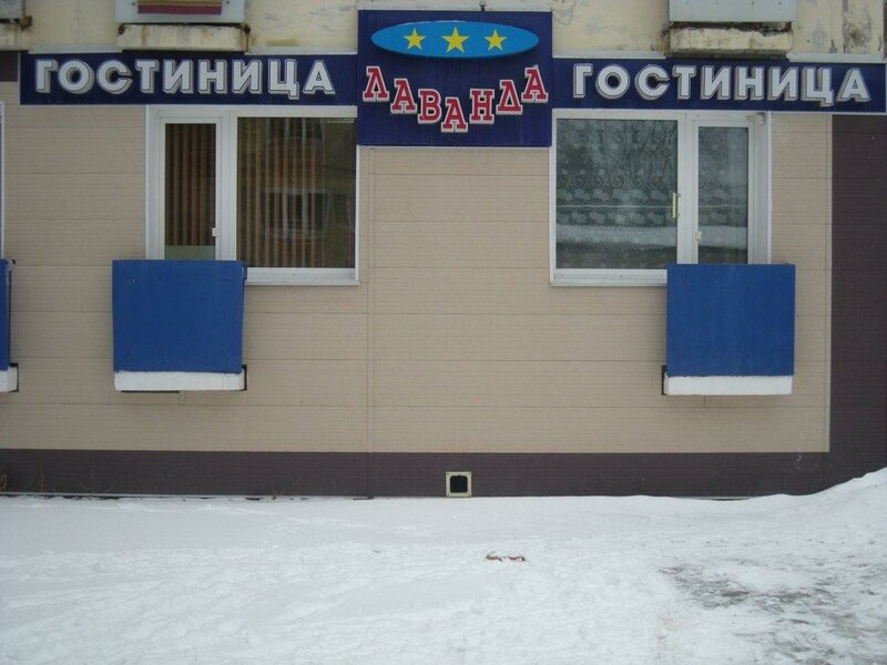 Лаванда — фото 20