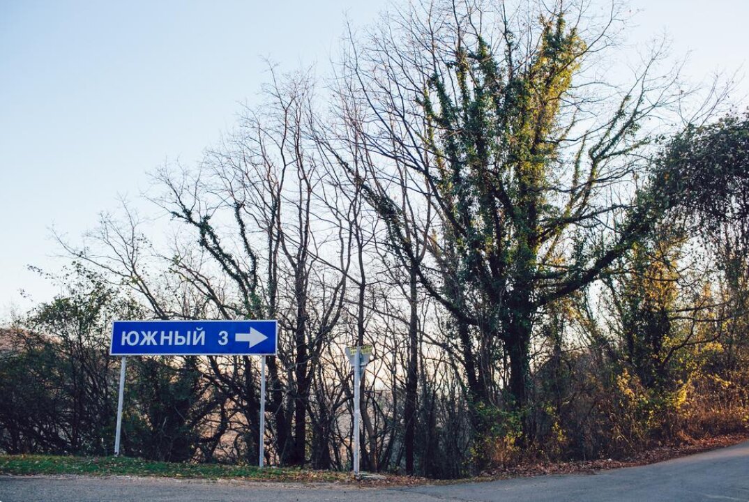 Фото Ласточка