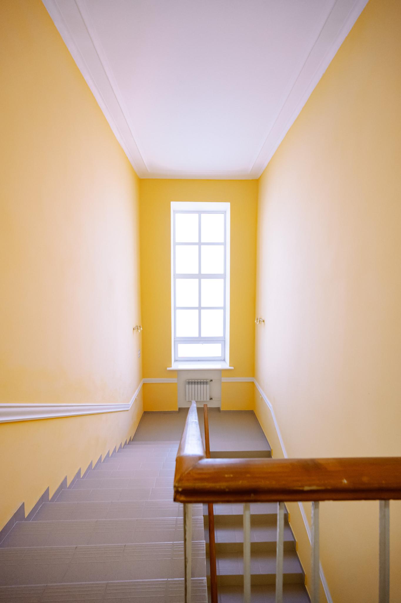 Фото Вежливый лось на Дмитровской