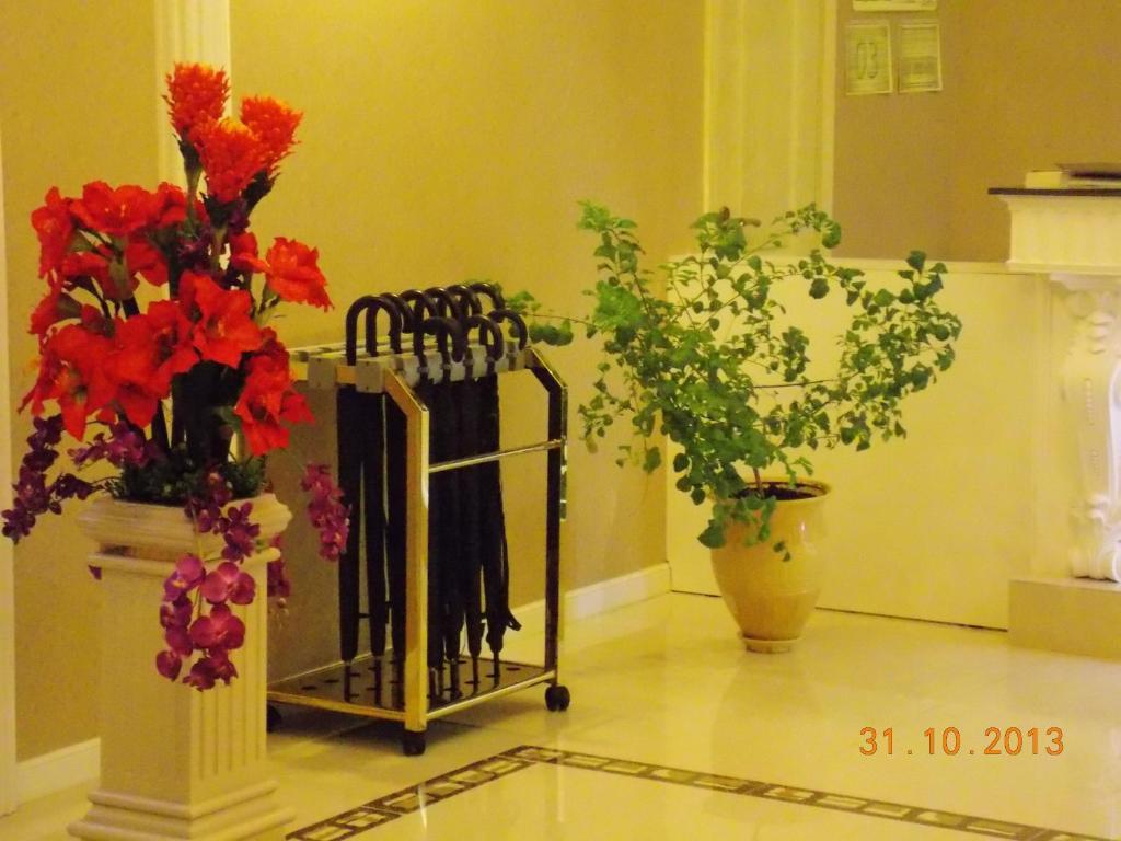 Фото Ковчег