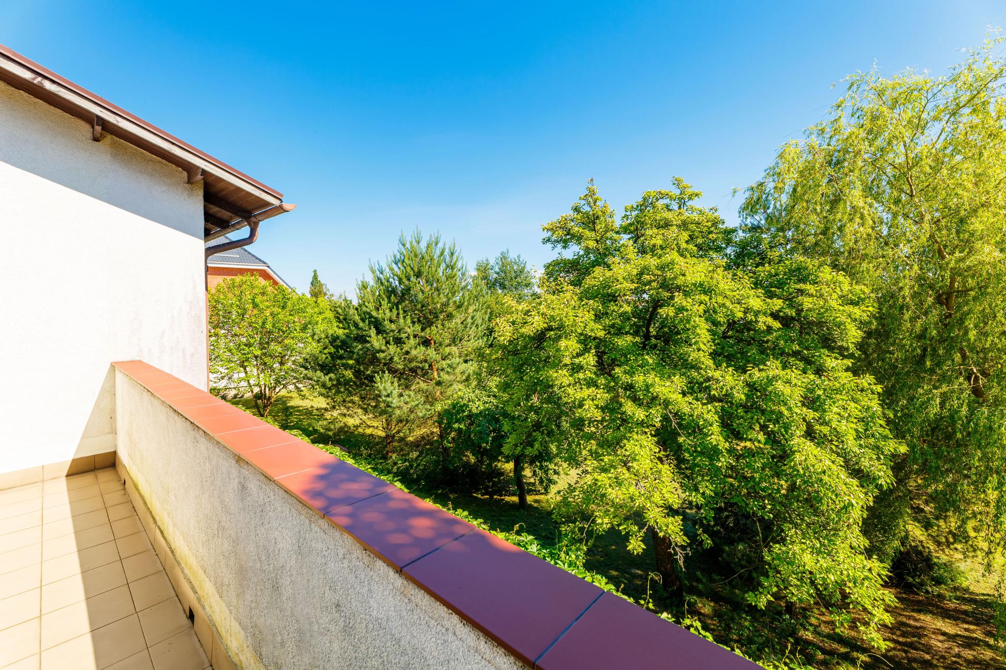 Фото На Каштановой