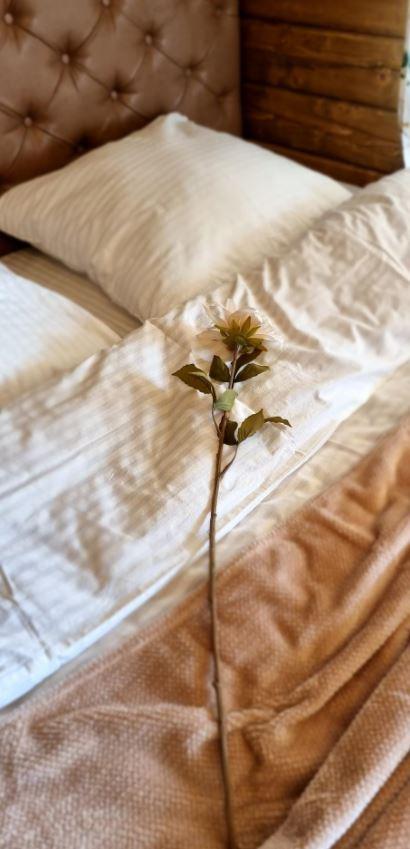 Фото Чудесное место