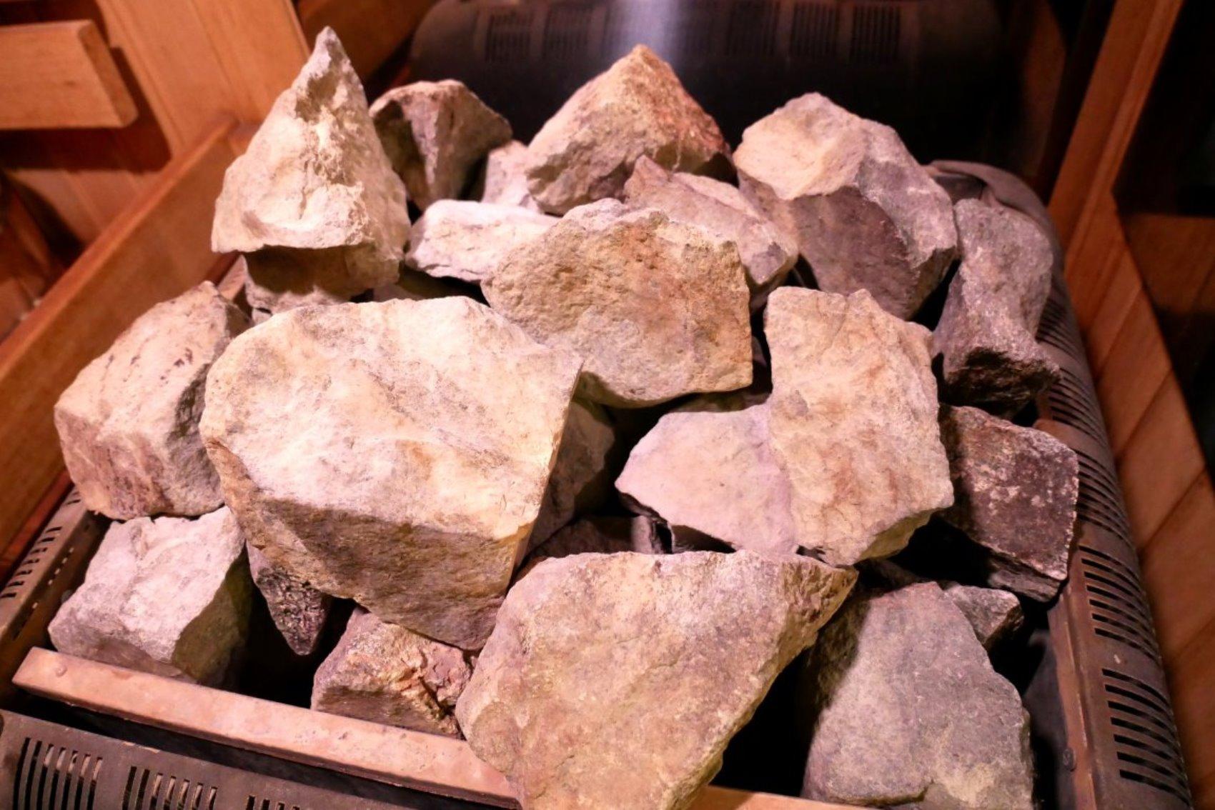 Фото Ковчег