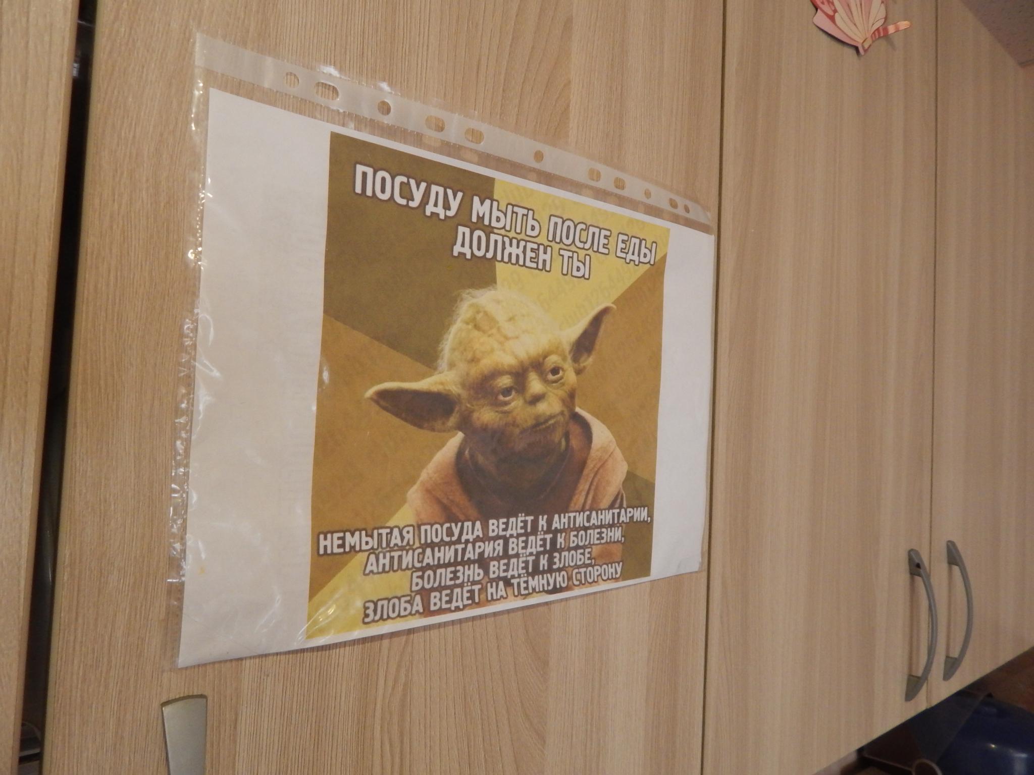 Фото Best Friends