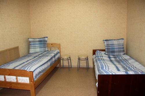 Фото Ромашка