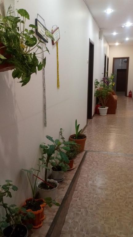 Фото Созвездие+