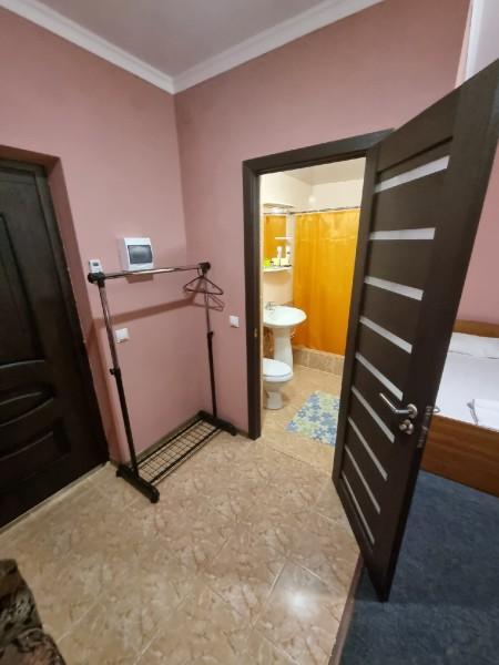 Фото Колибри