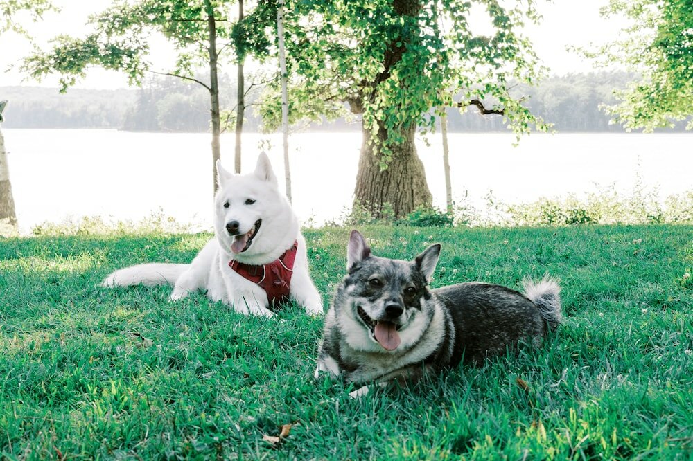 Фото Wolf Cove Inn