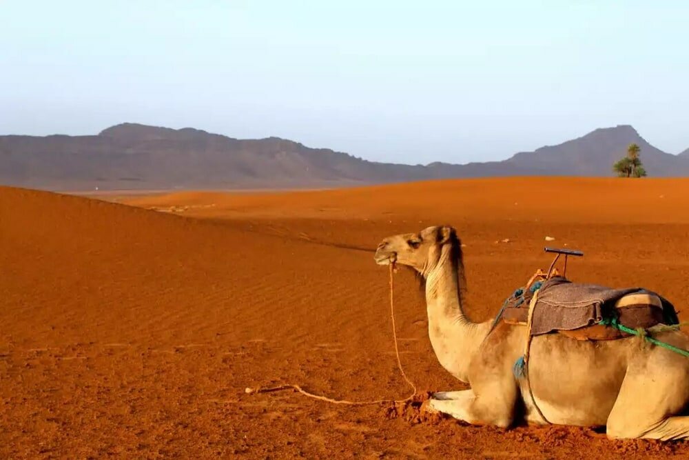 Фото Riad la fayette bed & breakfast