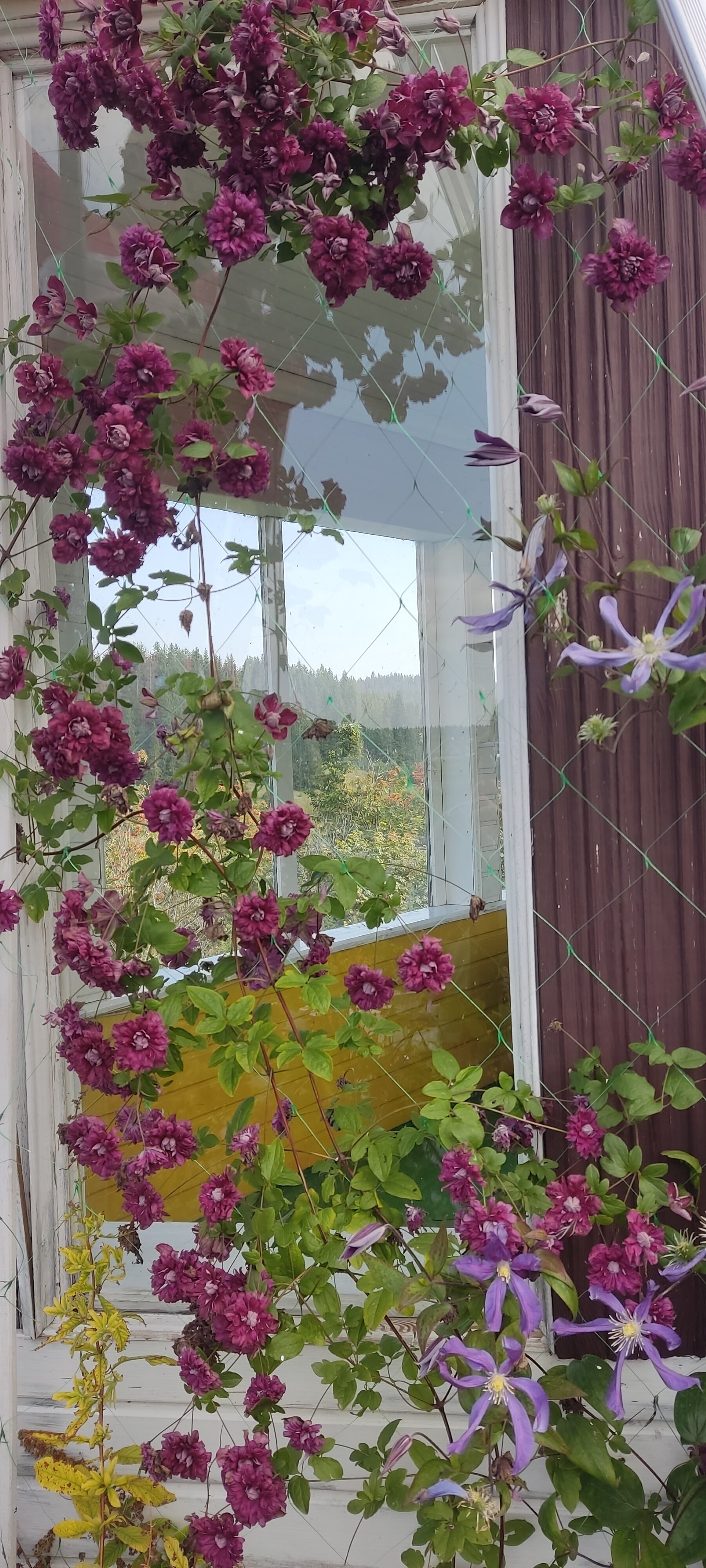 Фото Еловый мыс