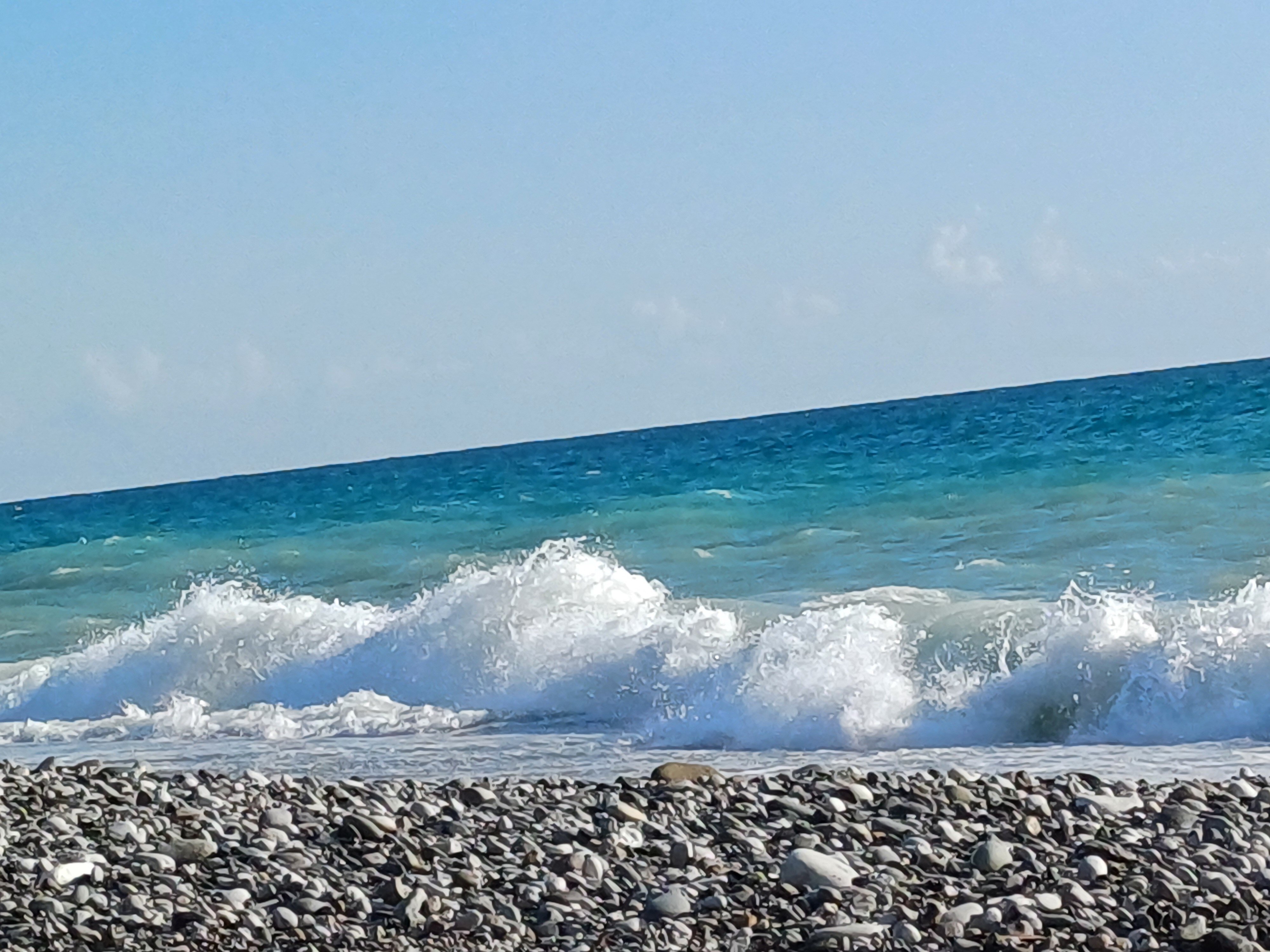 Фото Династия