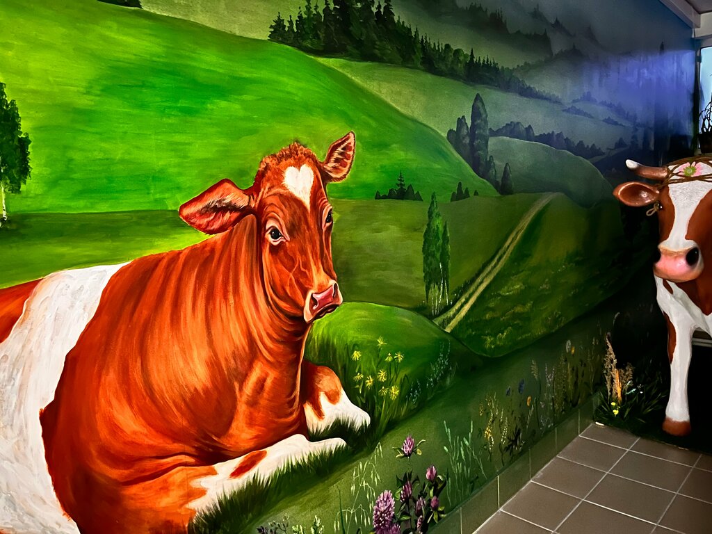 Dairy products shop Фирменный магазин Козельского молочного завода, Kozelsk, photo
