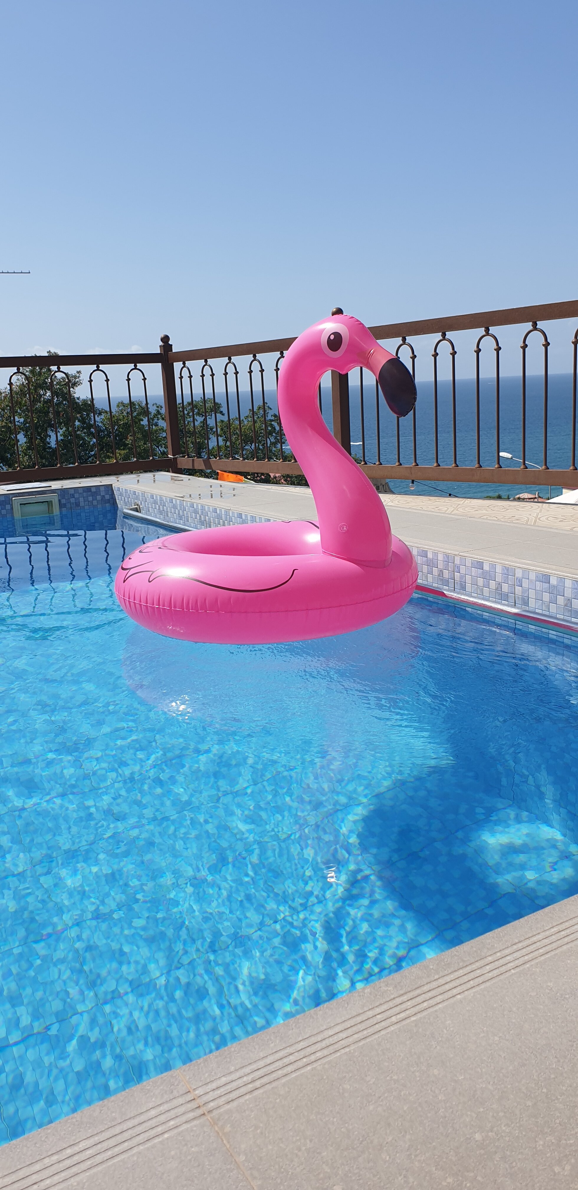 Фото Лоофкий