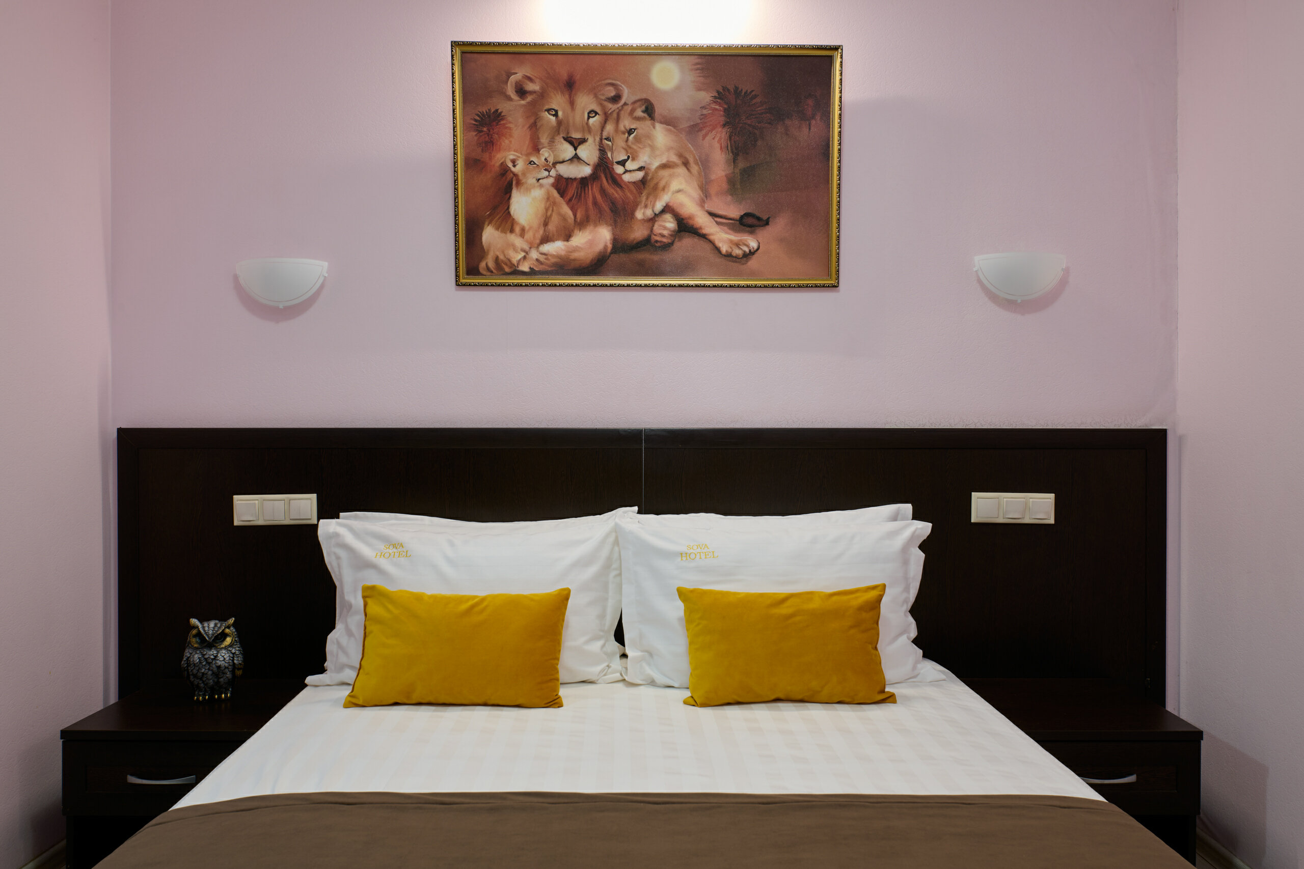 Фото Колибри