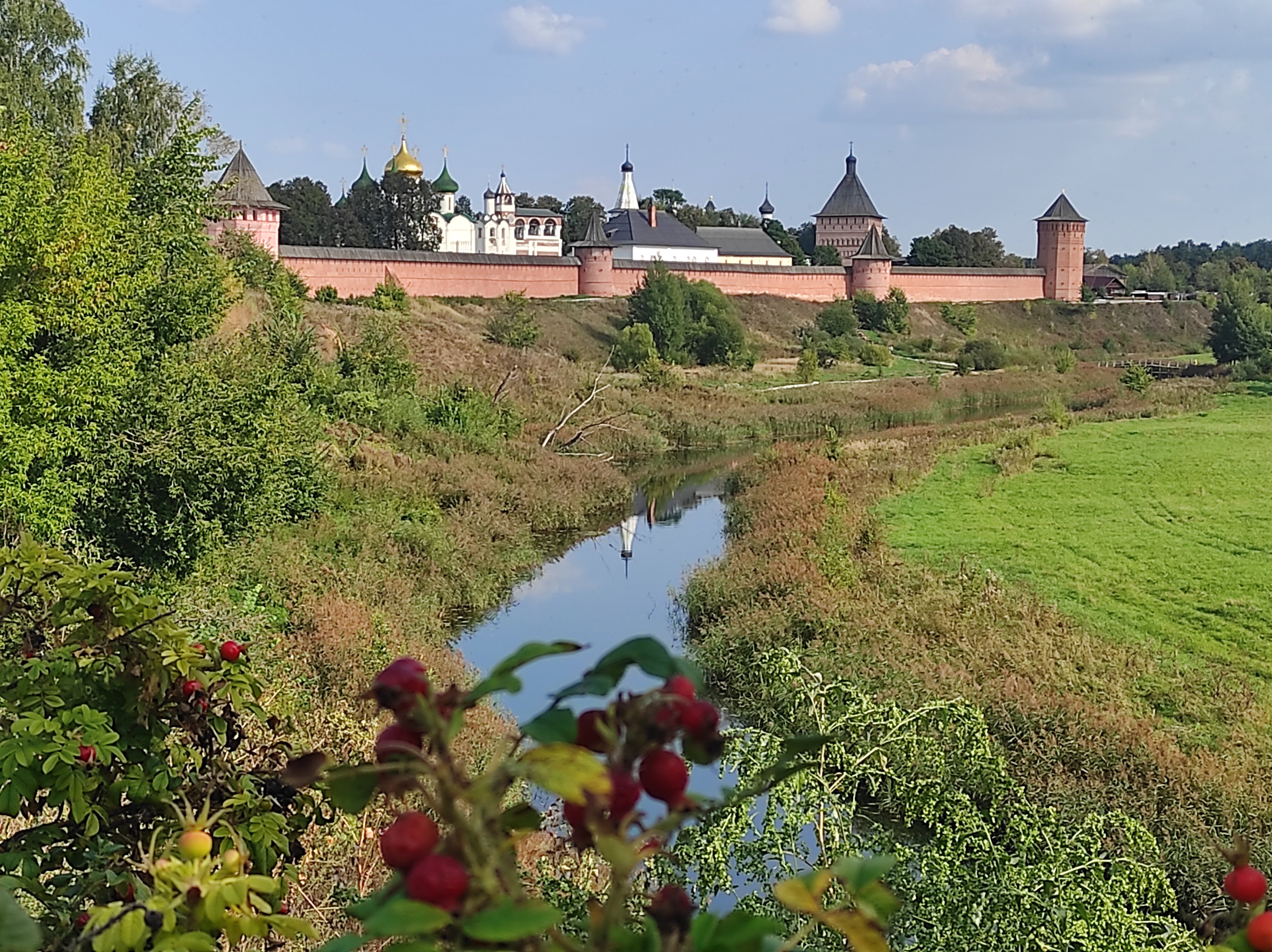 Фото Саттва