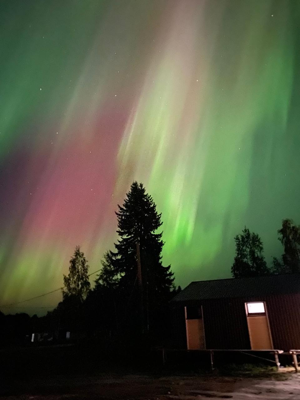 Фото Видноозеро