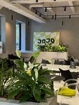 JoJo (Chapaeva street, 52), coffee shop