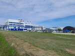 Солезавод ООО Варница (Kaliningrad Region, Zelenogradskiy munitsipalny okrug) ، توابل ومكونات غذائية