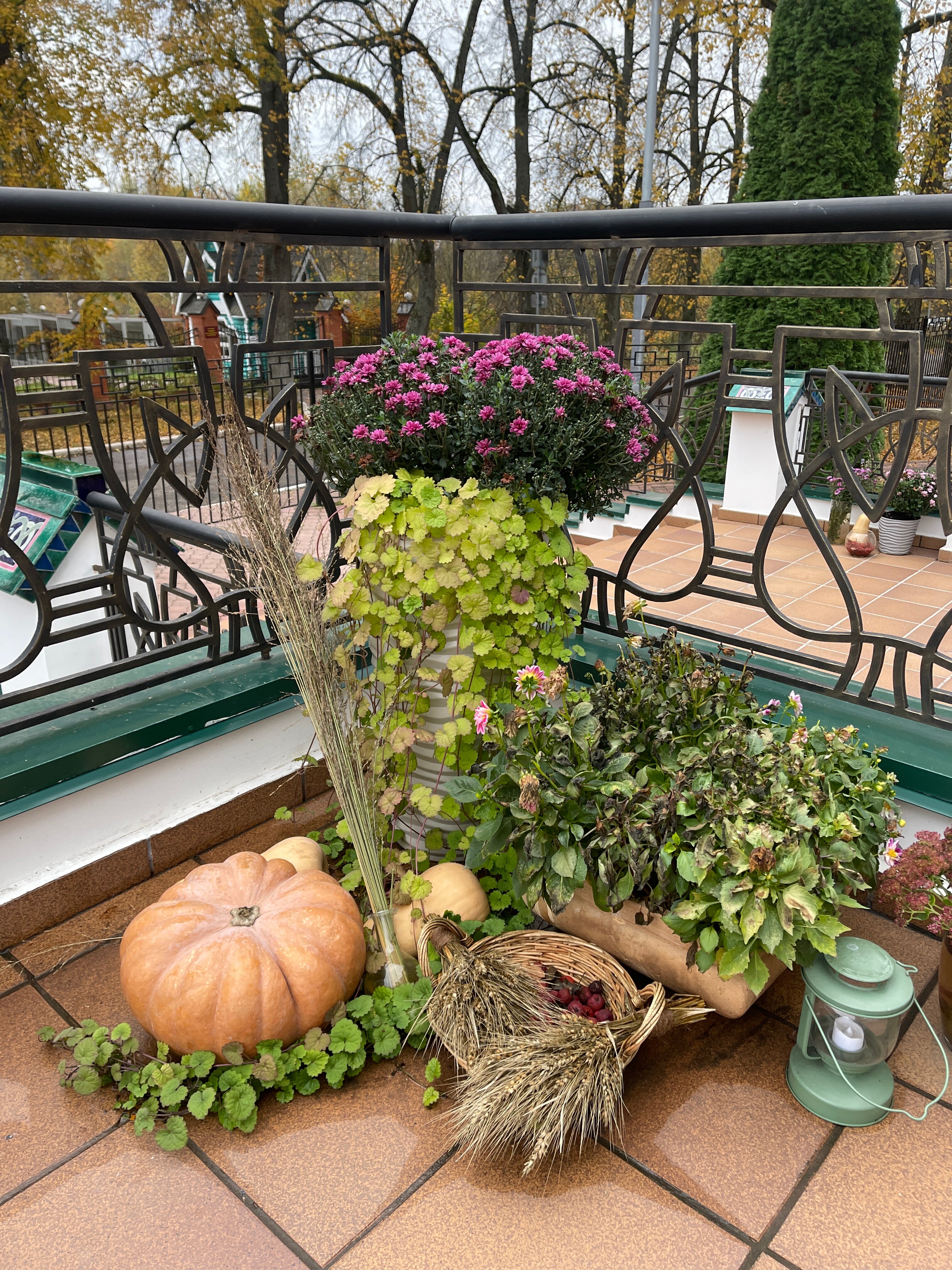 Фото Вилла Альпина