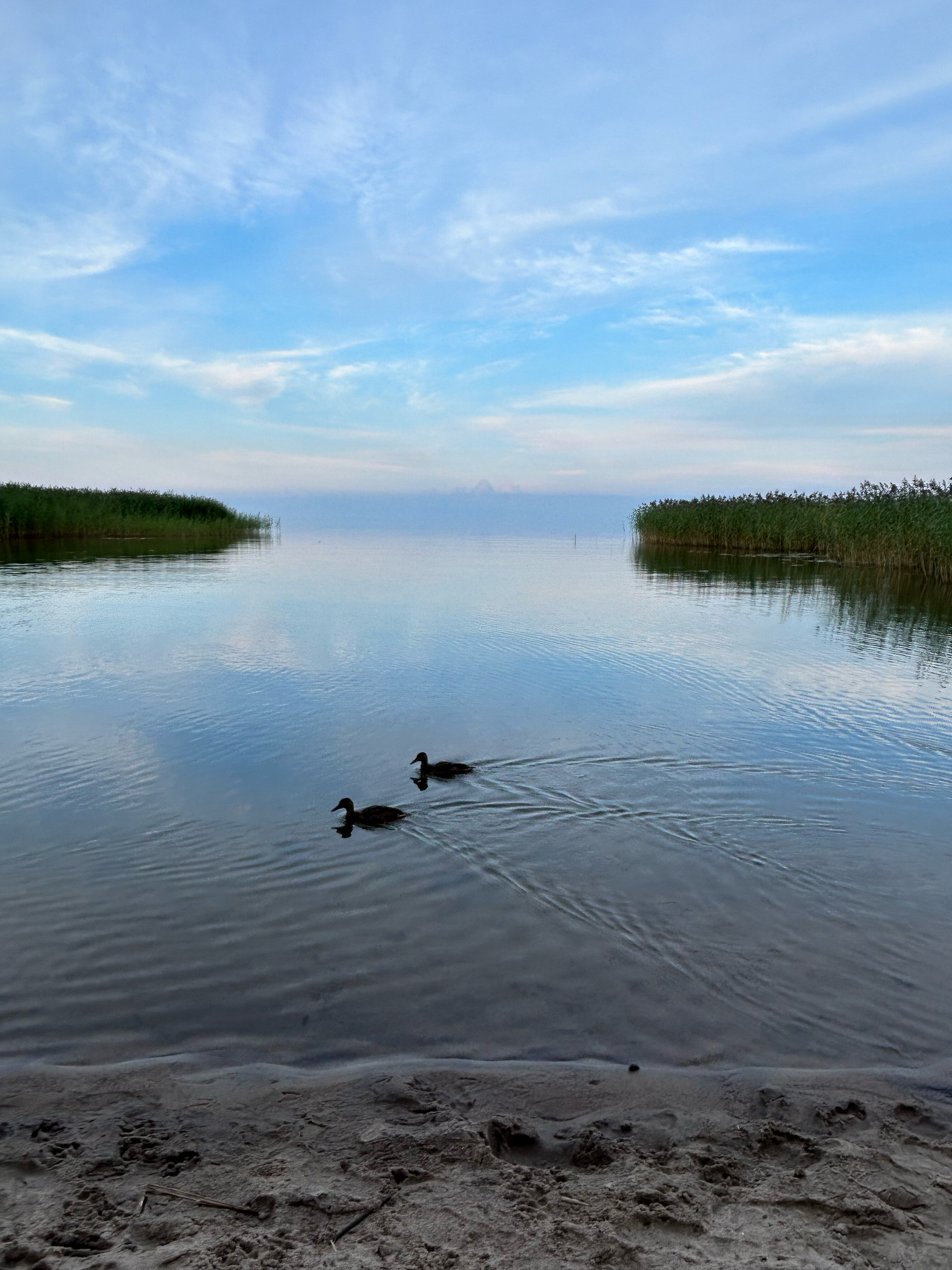 Фото ВитТех