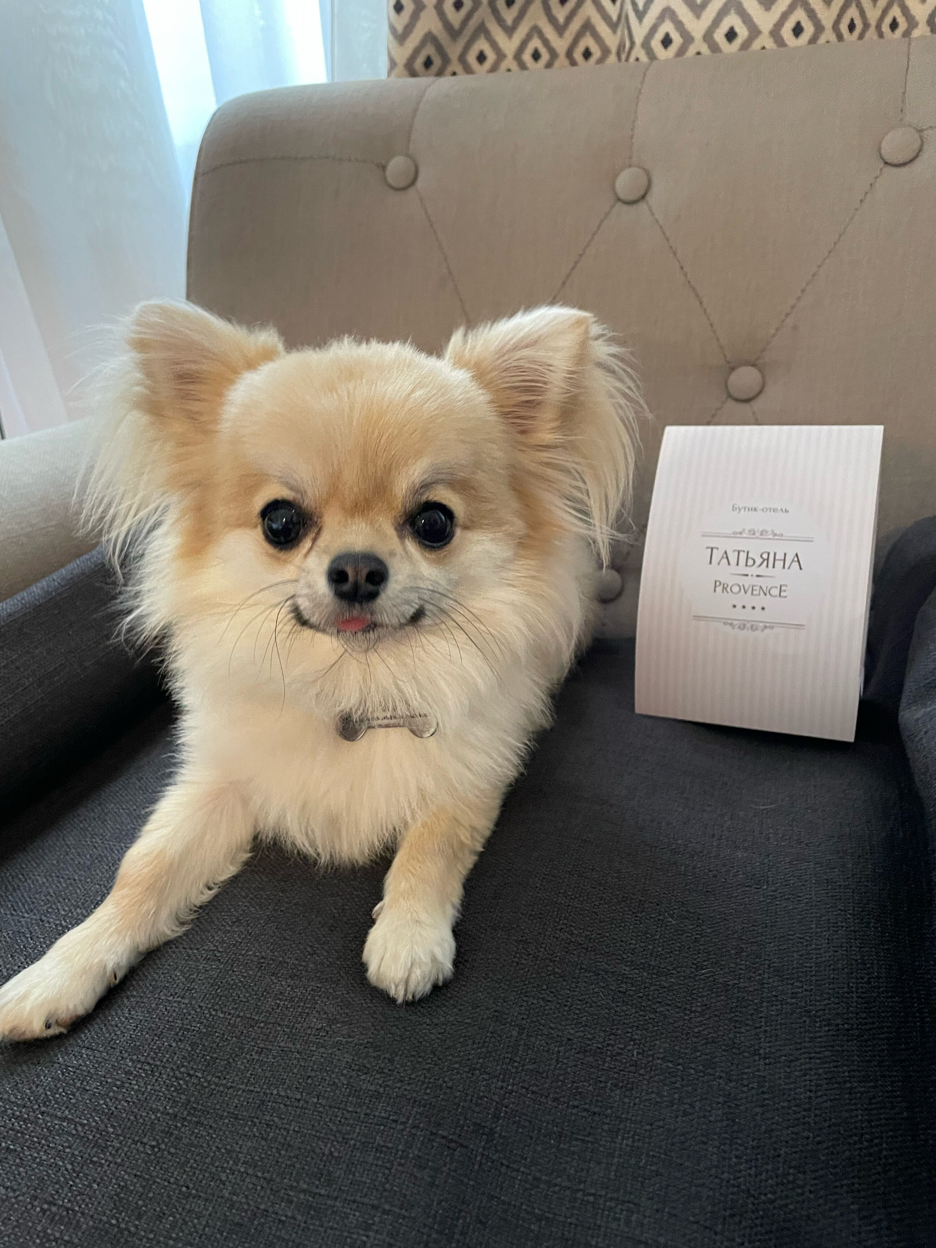 Фото Татьяна Прованс