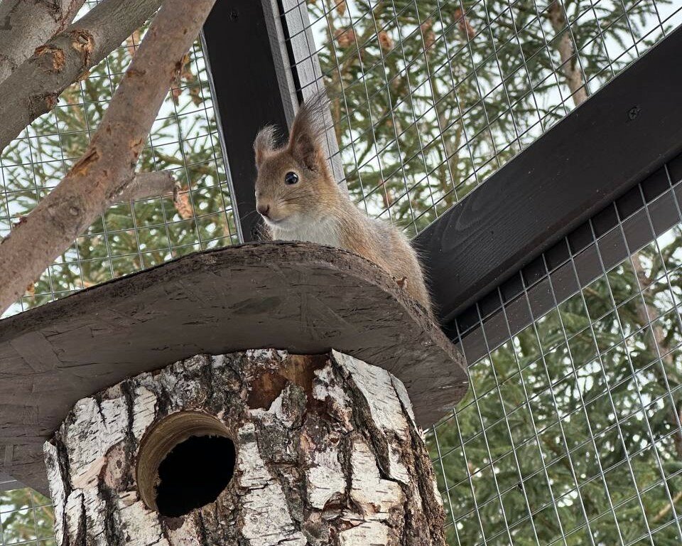 Фото Винни-Вилла