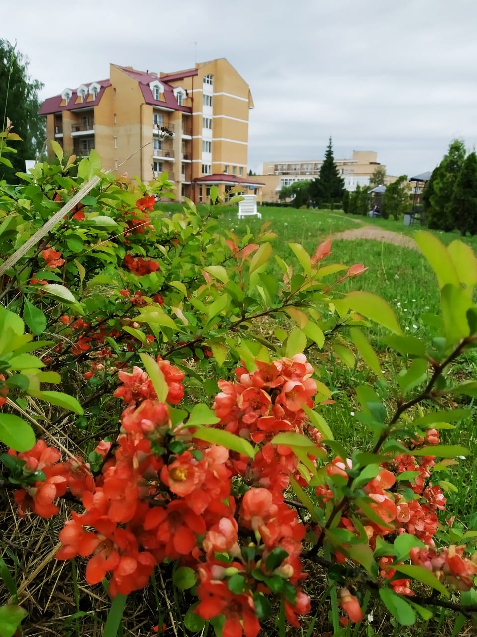 Фото Виктория