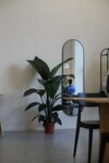 Кофейня 3/4 (Karla Marksa Street, 6) ، مقهى