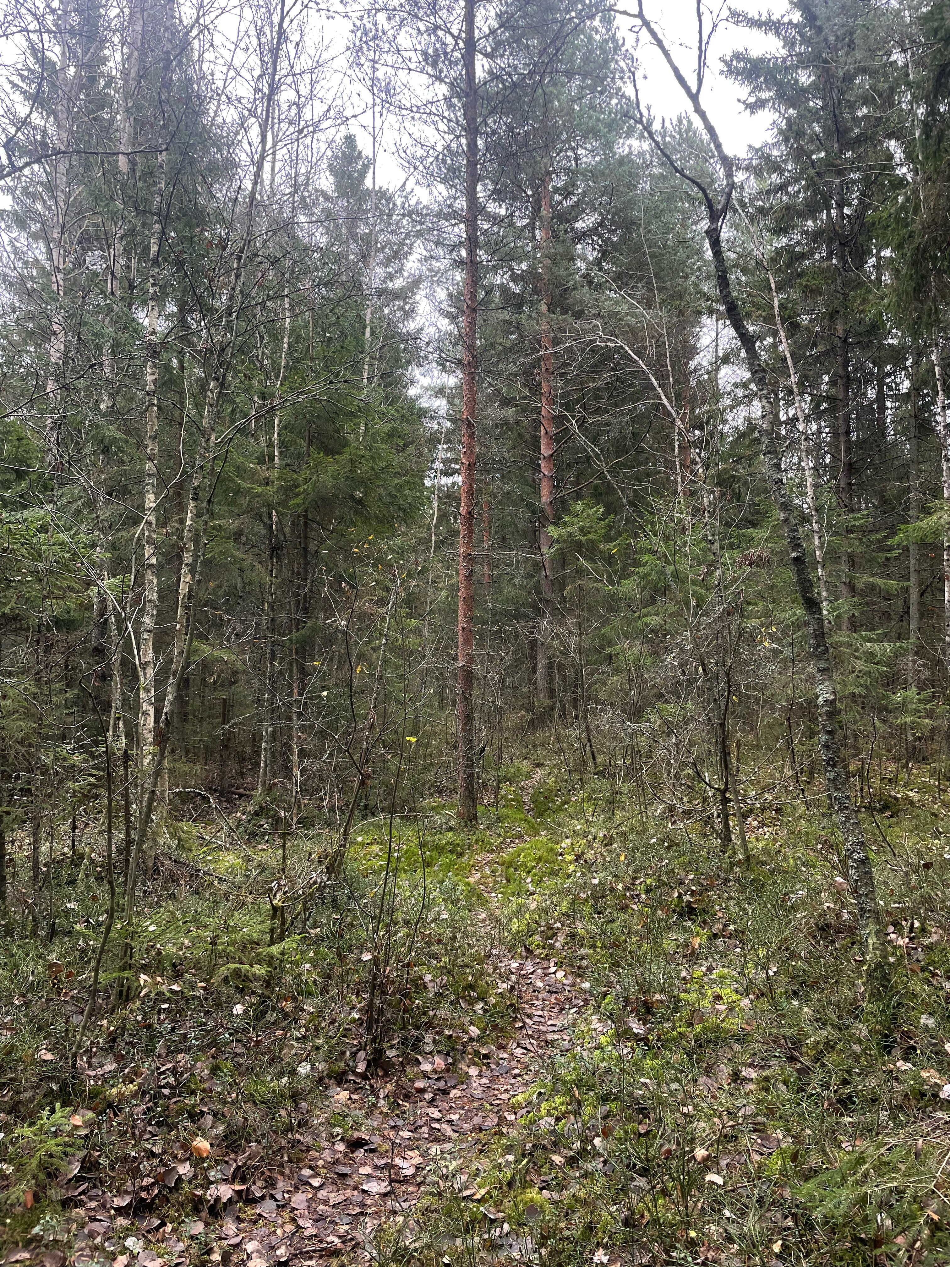 Фото Тимофеево