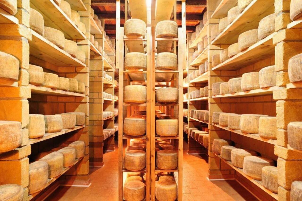 Фото Agriturismo Villa Dafne