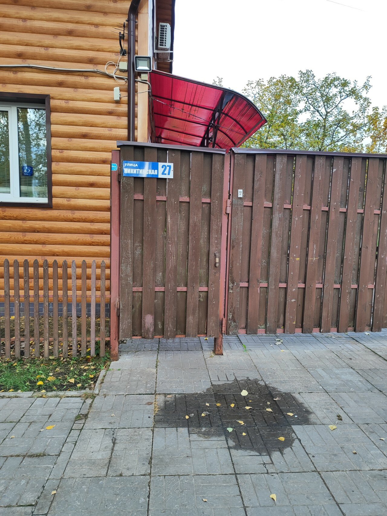 Фото Берёзка