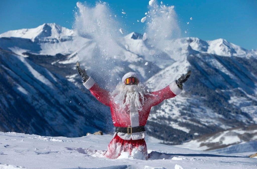 Фото Эдельвейс