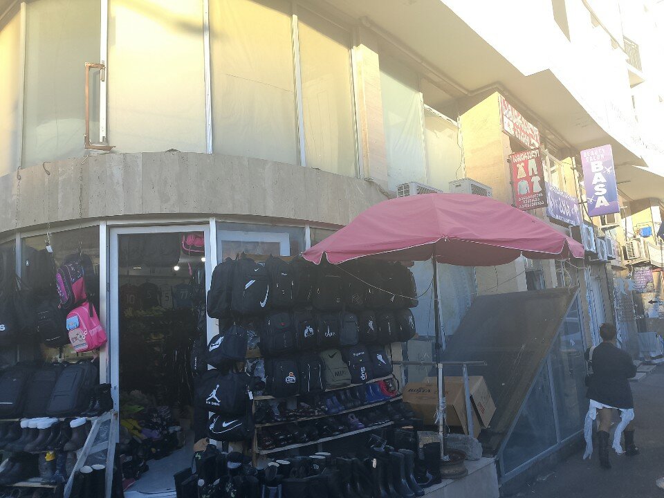 Фото Batumiseagull