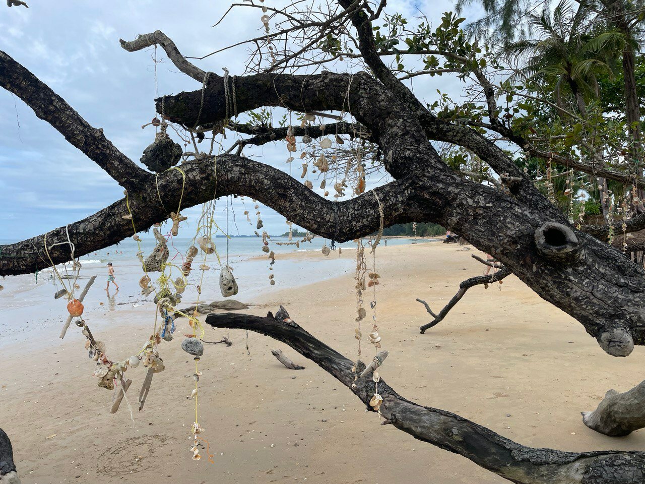 Фото The Leaf Oceanside