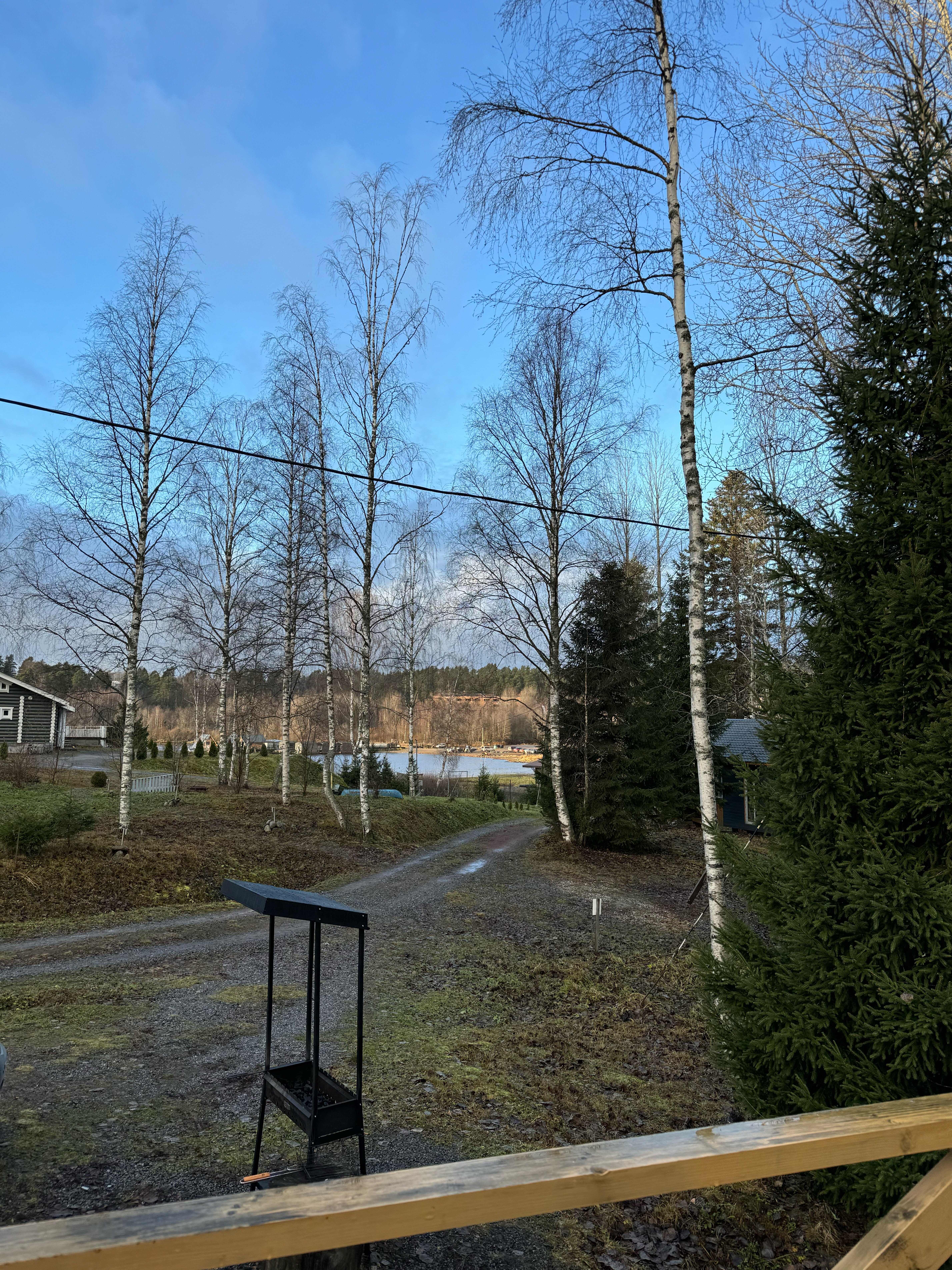 Фото Forest Park