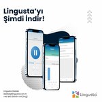 Lingusta (İstanbul, Kadikoy, Koşuyolu Mah., Katip Salih Sok., 60), educational center